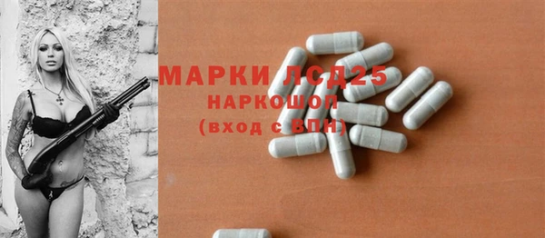 PSILOCYBIN Богданович
