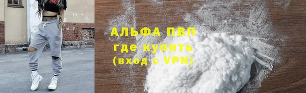 PSILOCYBIN Богданович