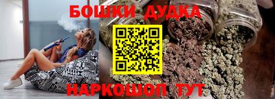 молекула духа Будённовск