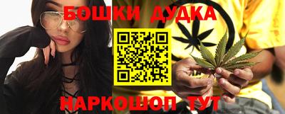 молекула духа Будённовск