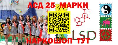 молекула духа Будённовск