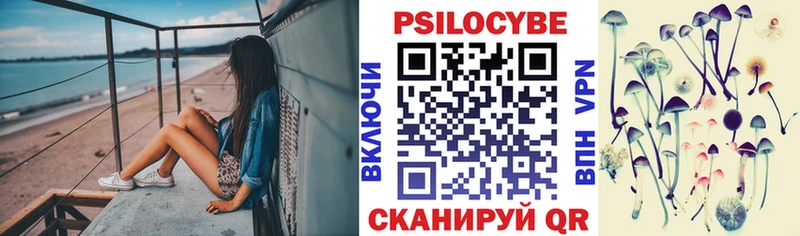 omg как зайти  Горячий Ключ  Галлюциногенные грибы Psilocybe 