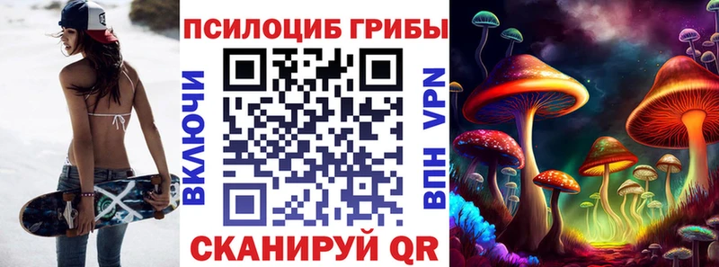 Псилоцибиновые грибы мицелий Горячий Ключ