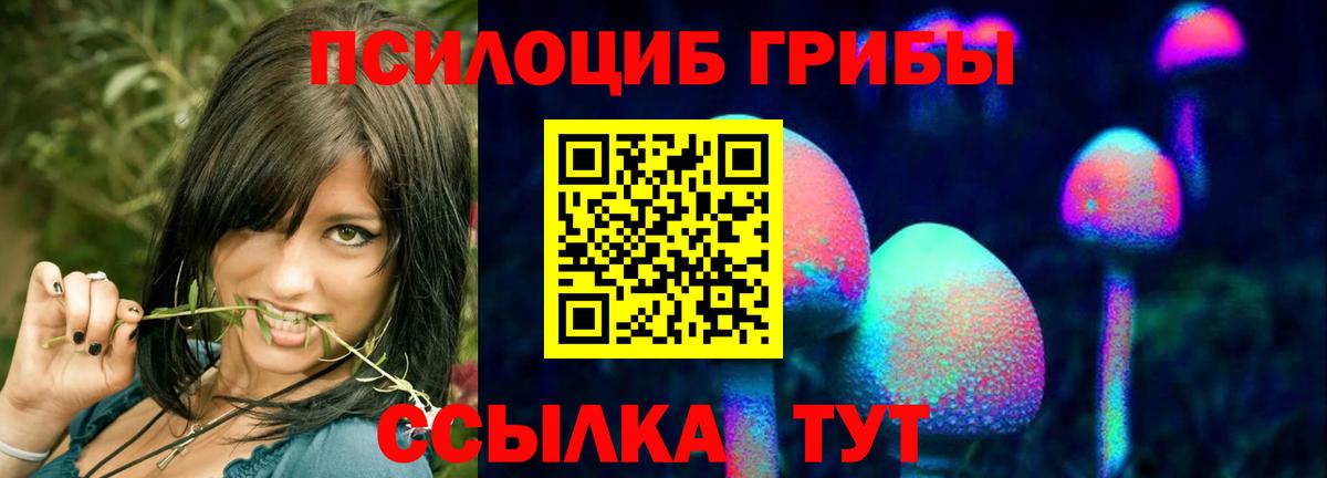 Псилоцибиновые грибы Psilocybe Горячий Ключ